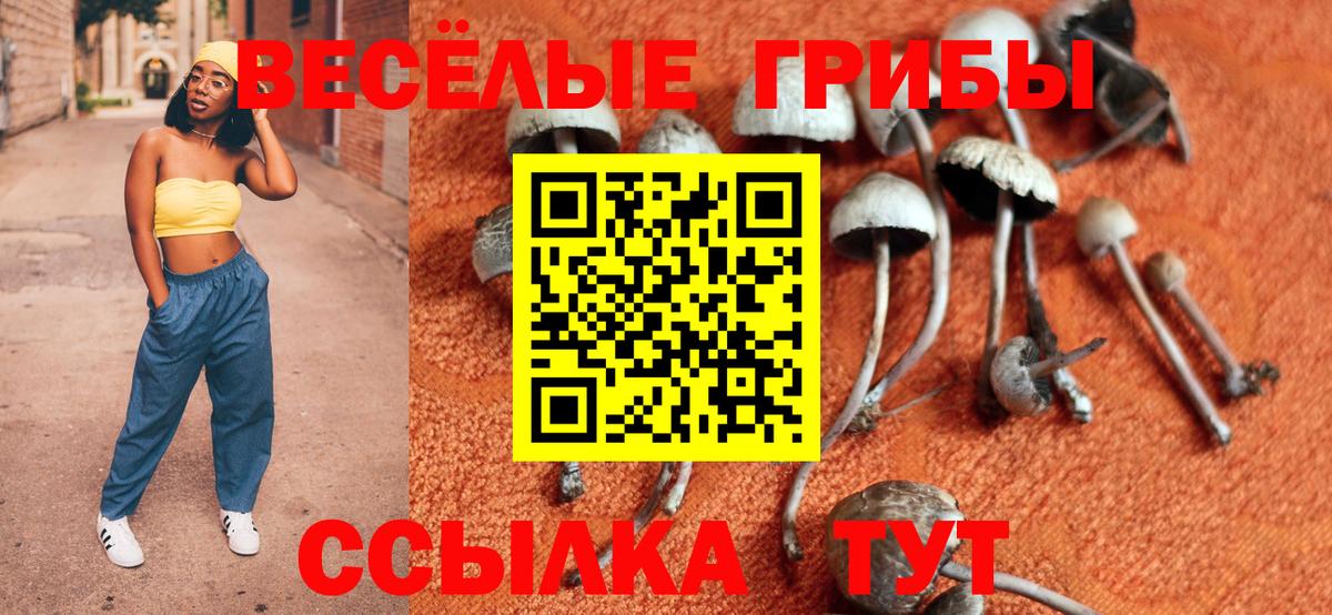 наркошоп  Вход с VPN  Артём  Галлюциногенные грибы мицелий 